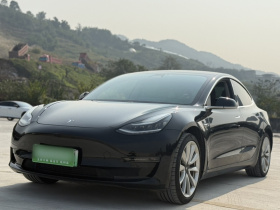 特斯拉 Model 3 2020款 改款 长续航后轮驱动版