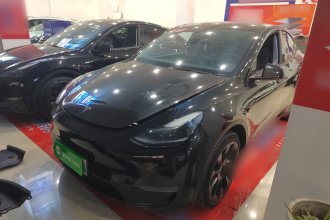 特斯拉 Model Y 2021款 标准续航后驱版