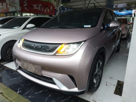 比亚迪 海豚 2021款 405km 时尚版