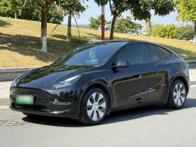特斯拉 Model Y 2022款 改款 长续航全轮驱动版