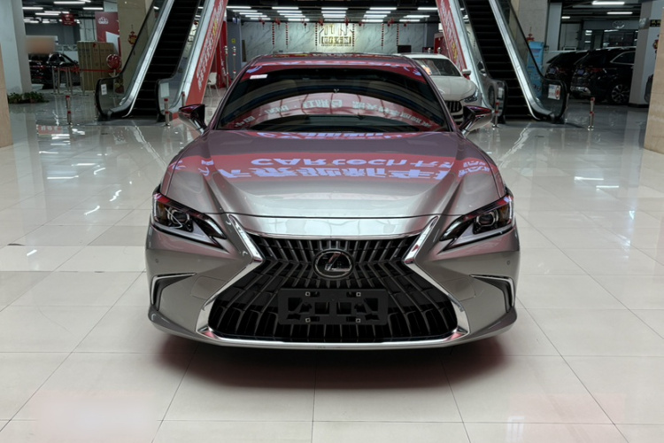 雷克萨斯ES 2021款 200 卓越版车身外观6005