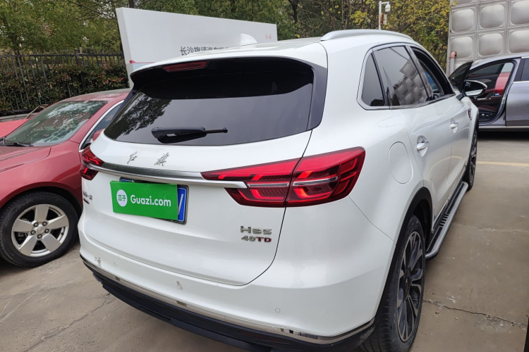 红旗HS5 2019款 2.0T 智联旗享四驱版车身外观6005