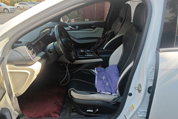 比亚迪 秦PLUS 2021款 EV 500KM 豪华型局部细节19