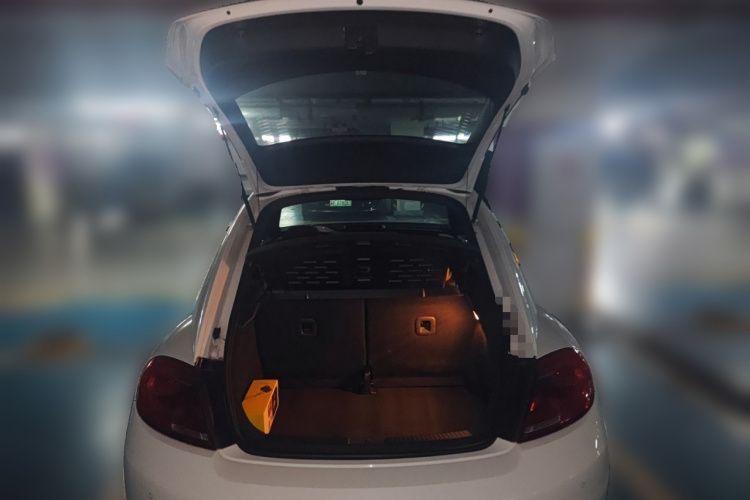 大众 甲壳虫 2015款 180TSI局部细节23