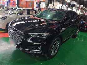 哈弗F5 2019款 国潮版 1.5T i潮 国VI