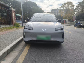 五菱汽车 五菱缤果PLUS 2024款 510km 旗舰版 四座版