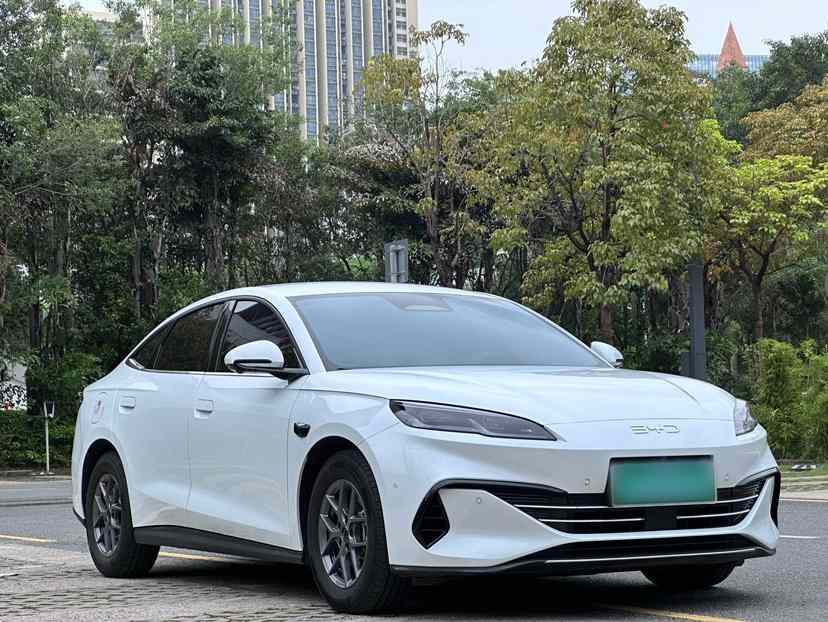 比亚迪 海豹06新能源 2025款 DM-i 智驾版 80KM豪华型(5)