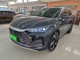 比亚迪 唐新能源 2024款 DM-i 荣耀版 112KM 尊贵型