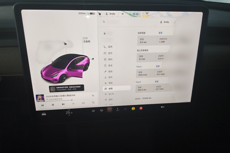 特斯拉 Model 3 2021款 改款 标准续航后驱升级版 3D1局部细节16