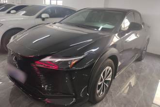 雷克萨斯RZ 2023款 450e 四驱纵享版