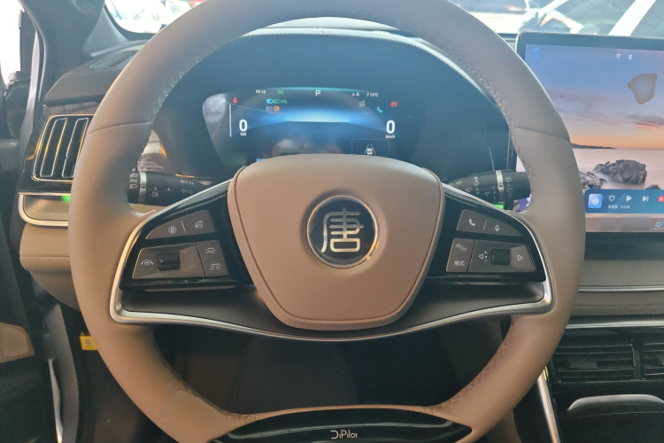 比亚迪 唐新能源 2024款 EV 冠军版 600KM 尊享型局部细节13