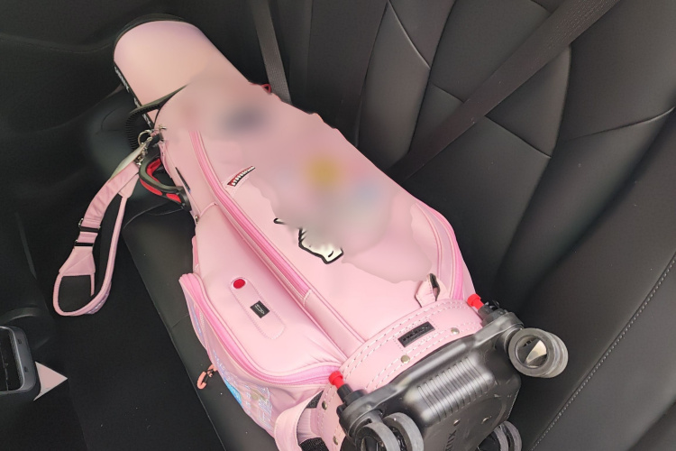 特斯拉 Model 3 2019款 标准续航后驱升级版中控内饰7004