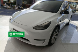 特斯拉 Model Y 2021款 标准续航后驱版
