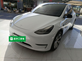特斯拉 Model Y 2021款 标准续航后驱版