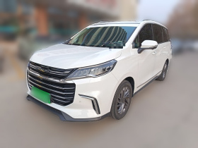 上汽大通MAXUS 大通G50 2019款 1.5T 首发款自动豪华版 6座