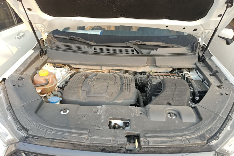 中国重汽VGV VGV U75PLUS 2021款 2.0TGDI 奇趣山地版 7座机舱底盘24