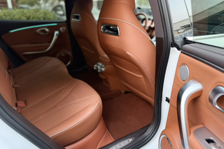 欧拉闪电猫 2022款 555km 尊贵版中控内饰7008