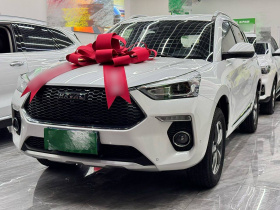 哈弗H6 Coupe 2020款 智联版 1.5T 自动两驱豪华智联型