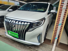 广汽传祺 传祺M8 2020款 390T 尊贵版