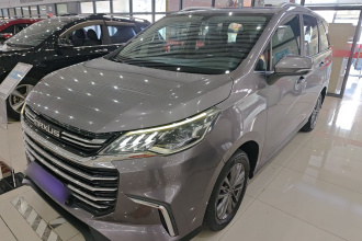 上汽大通MAXUS 大通G50 2019款 1.5T 自动精英版 国VI