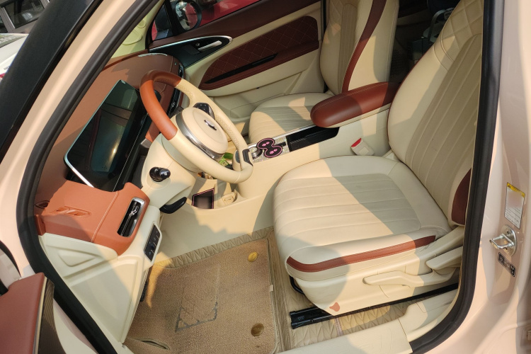 欧拉好猫 2021款 400km标准续航 维纳斯版 三元锂局部细节19