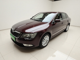 斯柯达 速派 2013款 1.8TSI 自动名仕版