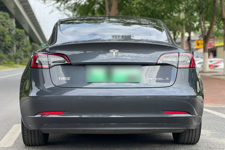 特斯拉 Model 3 2020款 标准续航后驱升级版车身外观6005