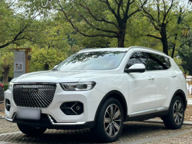 哈弗H6 2021款 1.5T 自动冠军版