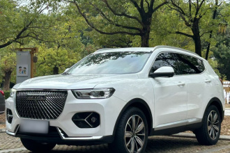 哈弗H6 2021款 1.5T 自动冠军版