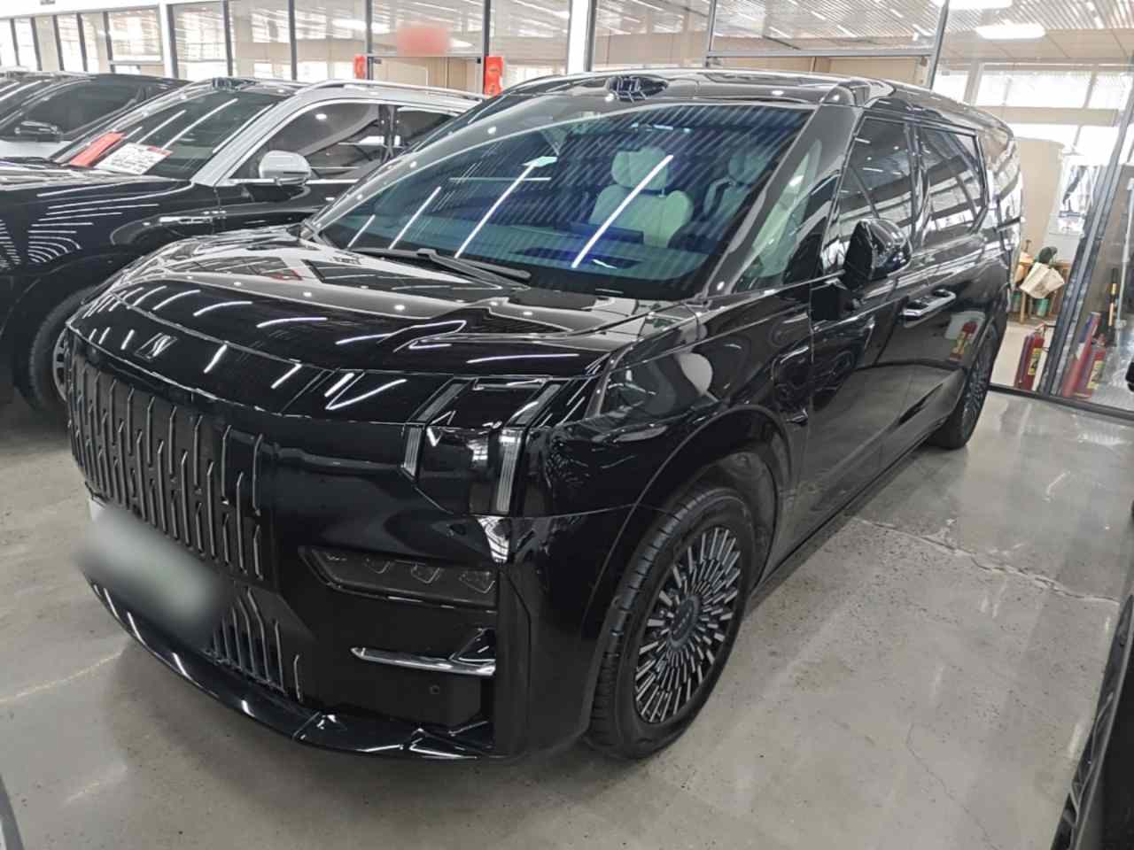 极氪009 2024款 六座行政版四驱 108kWh(2)