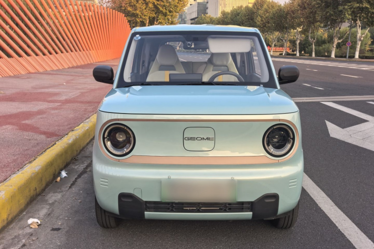 吉利银河 2024款 熊猫mini 200km 耐力熊车身外观6001