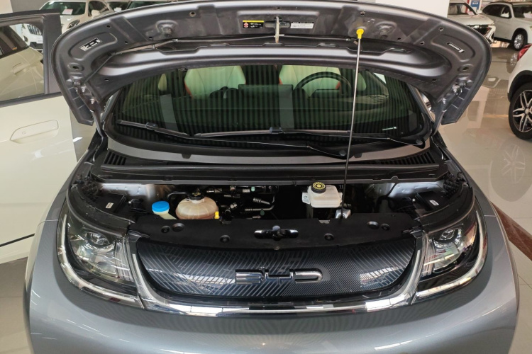 比亚迪 海豚 2021款 405km 时尚版机舱底盘24