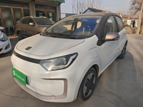 思皓 2022款 花仙子款 蒲公英