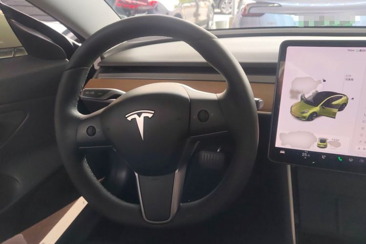 特斯拉 Model 3 2019款 标准续航后驱升级版局部细节13