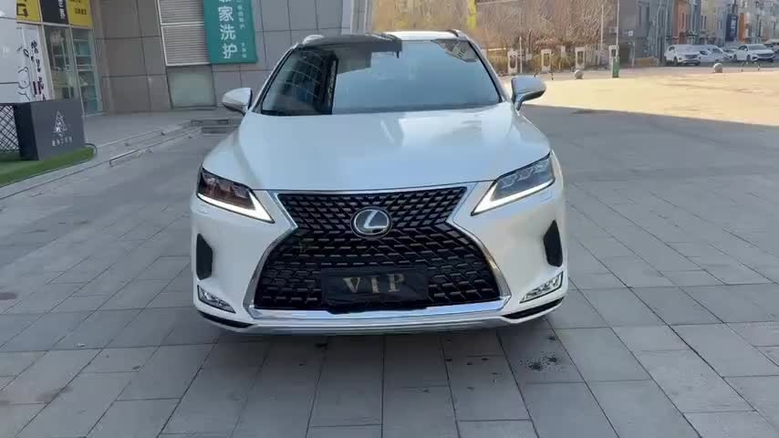 雷克萨斯RX 2020款 300 四驱典雅版 国VI实拍1