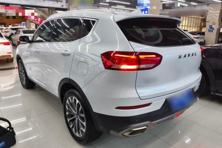 哈弗H6 2020款 2.0GDIT 自动铂金冠军版车身外观4