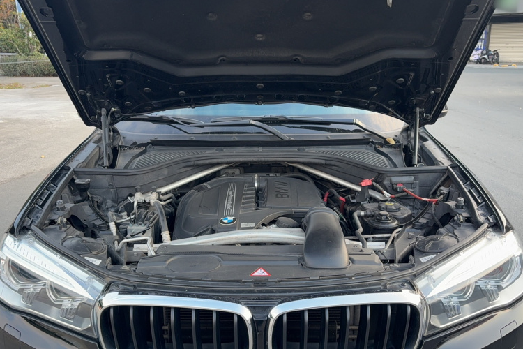 宝马X5(进口) 2014款 xDrive35i 典雅型局部细节9009