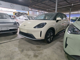 五菱汽车 缤果S 2025款 430km 尊享款