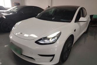 特斯拉 Model 3 2021款 标准续航后驱升级版 3D6