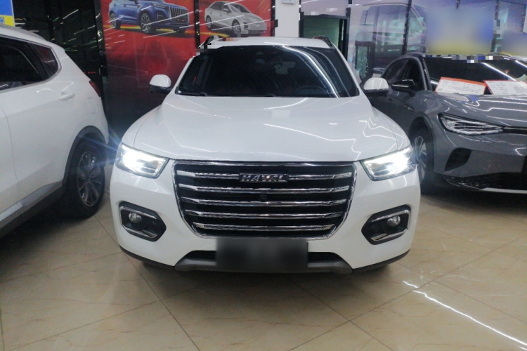 哈弗H6 2020款 2.0GDIT 自动铂金豪华版车身外观2