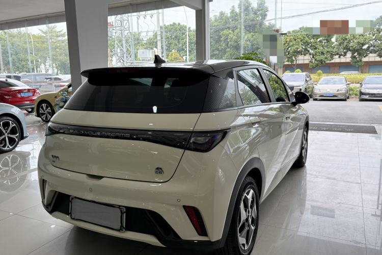 比亚迪 海豚 2021款 405km 自由版车身外观6007