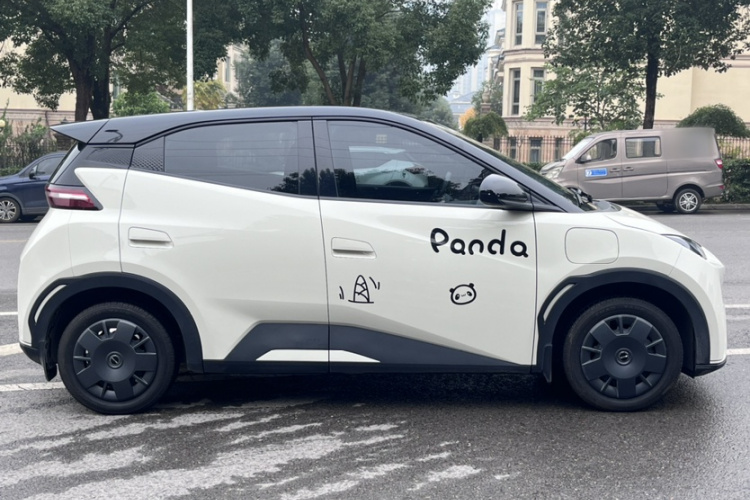 比亚迪 海鸥 2024款 荣耀版 305km 活力版车身外观6005