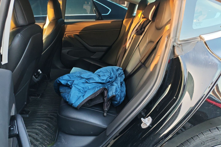 特斯拉 Model 3(进口) 2019款 长续航全轮驱动版中控内饰21