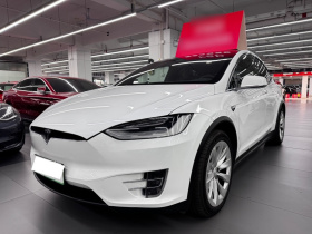 特斯拉 Model X 2019款 长续航版