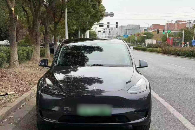 特斯拉 Model Y 2024款 后轮驱动版车身外观6006