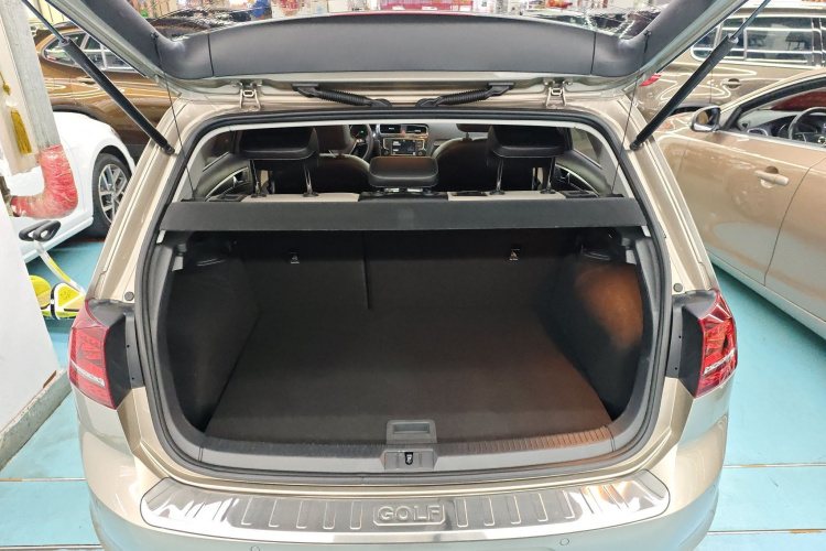 大众 高尔夫 2017款 230TSI 自动豪华百万辆纪念版局部细节23