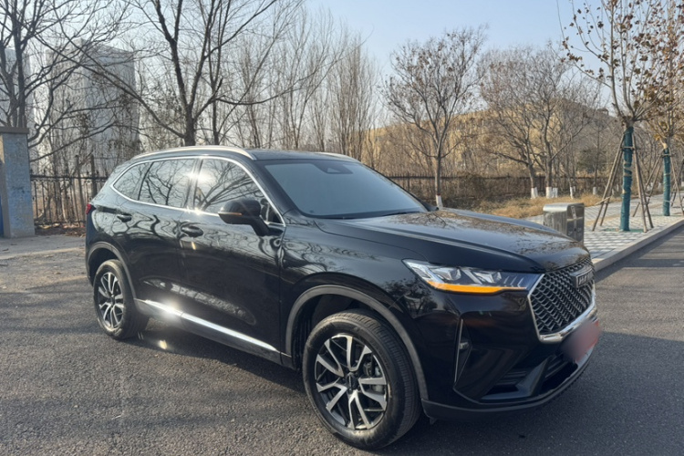 哈弗H6 2021款 第三代 1.5T 自动两驱Max车身外观6002