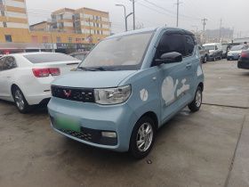 五菱汽车 宏光MINIEV 2020款 悦享款 磷酸铁锂