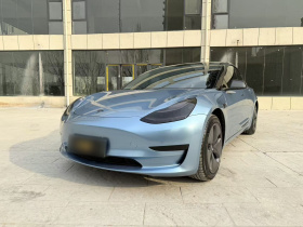 特斯拉 Model 3 2020款 标准续航后驱升级版