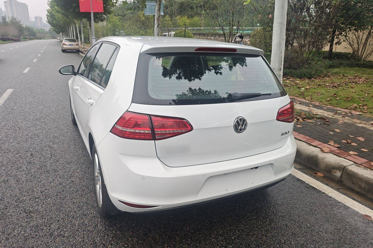 大众 高尔夫 2014款 1.6L 自动舒适型车身外观6003